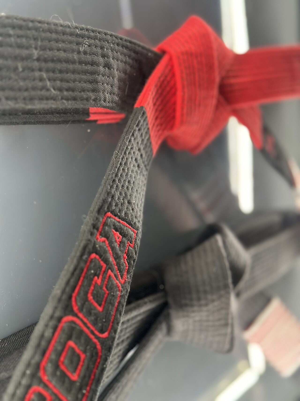 Very close shallow-focus view of the red belt knot and the red embroidered lettering.