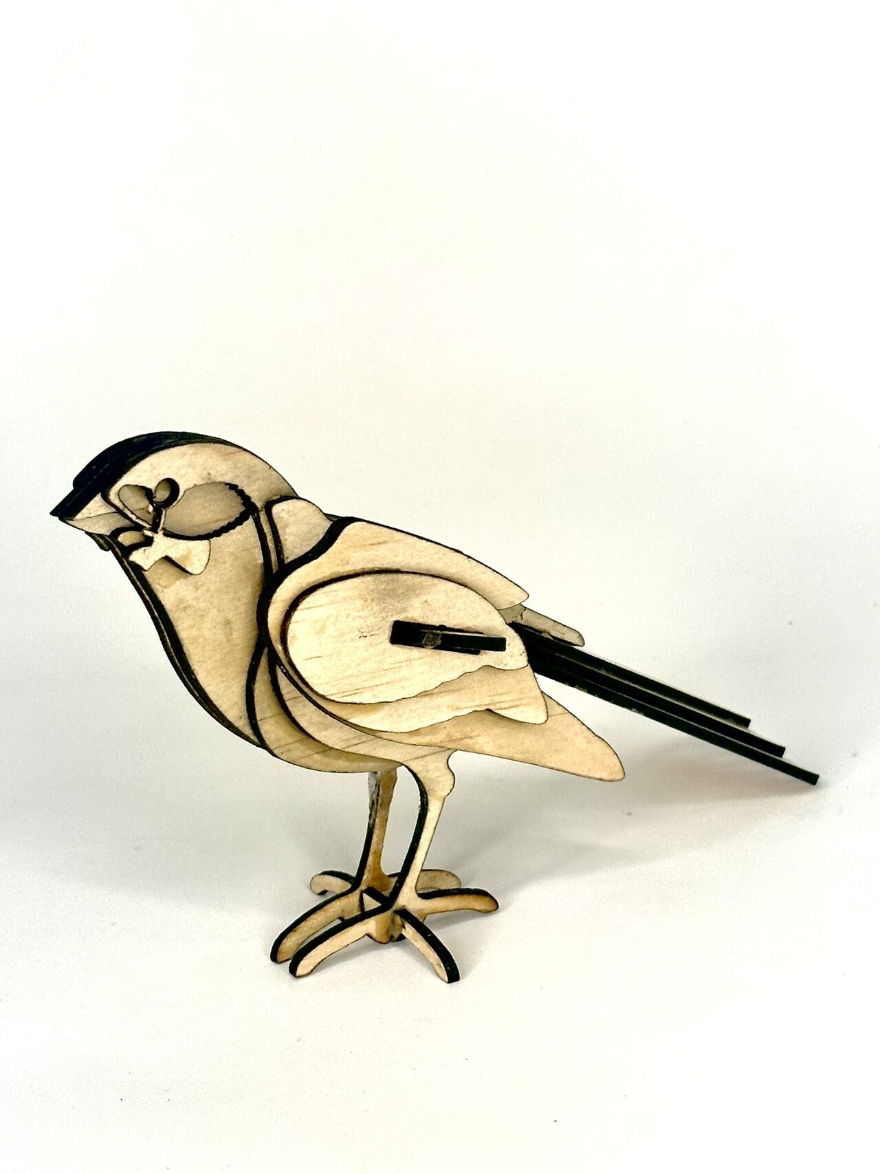 The layered wood bird in side view on a bright white background, dark cap layer and three dark tail strips visible.
