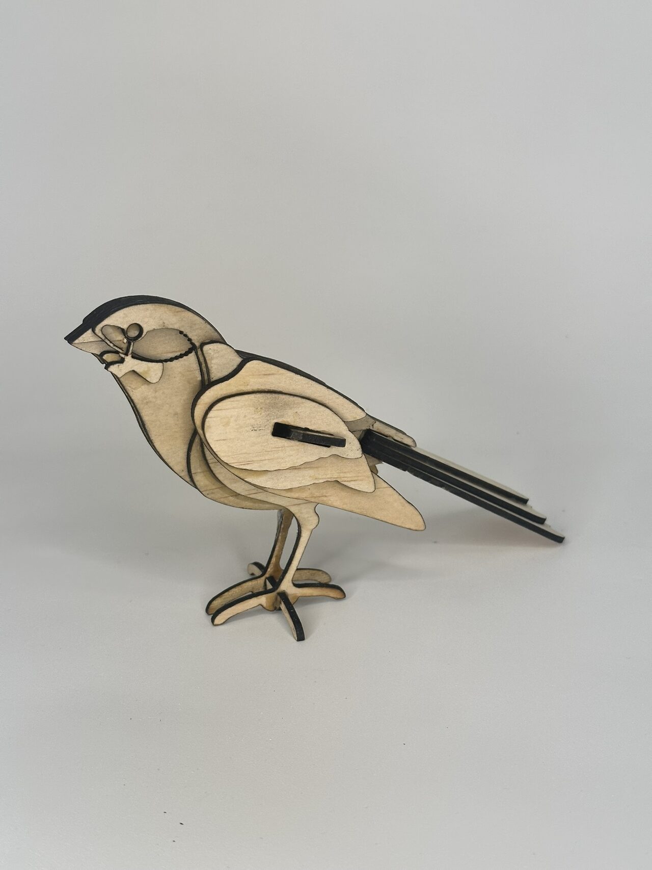 The layered wood bird in full side view on a pale grey backdrop, with the whole tail and both feet in frame.