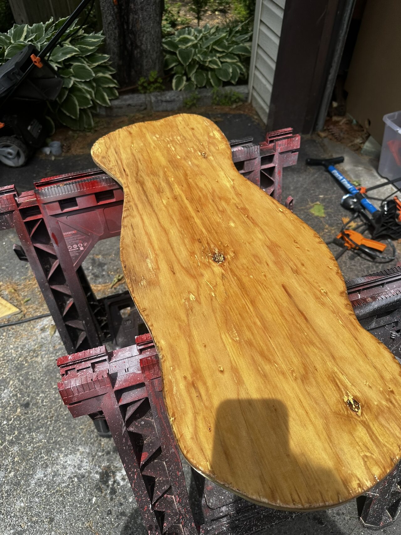 The shaped board stained golden, drying on red sawhorses outdoors.