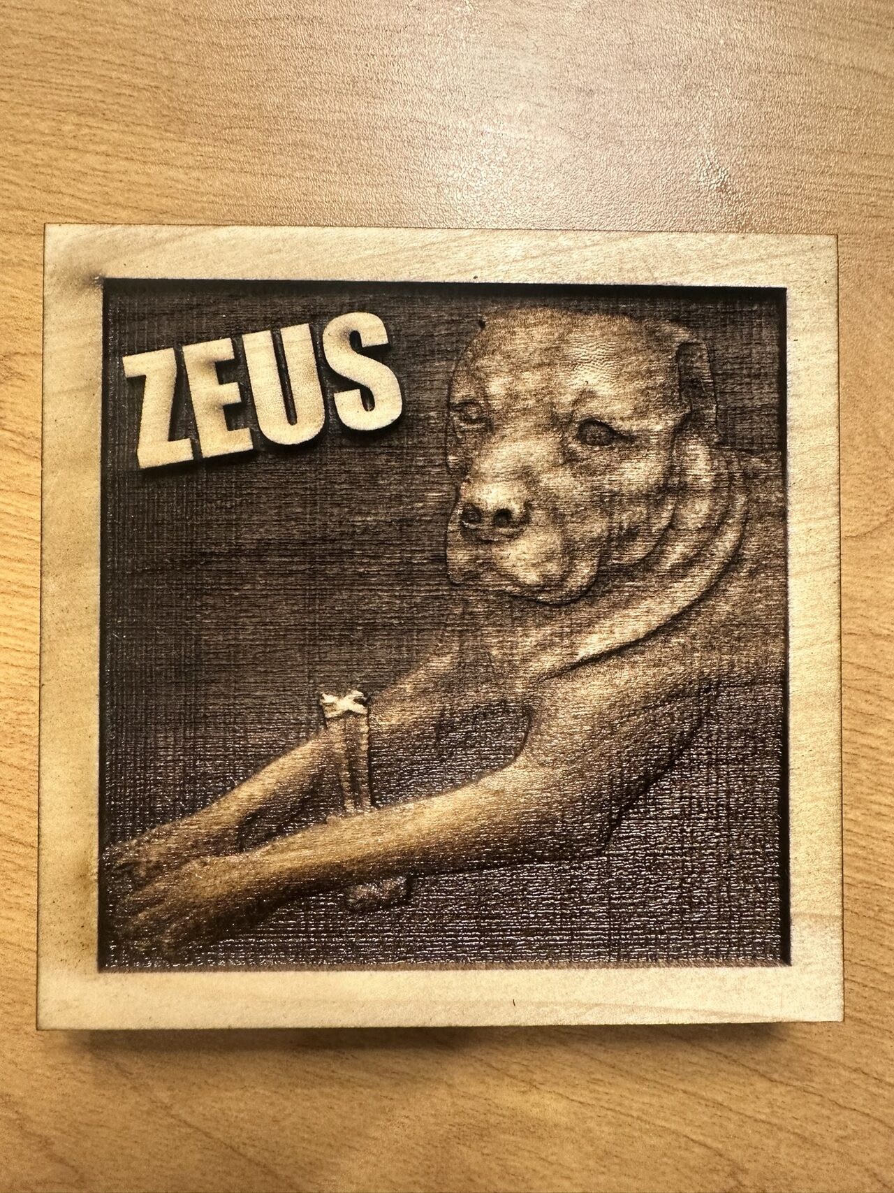 Square wood plaque engraved with a dog lying in profile holding a stick, the name ZEUS in raised letters at top left.