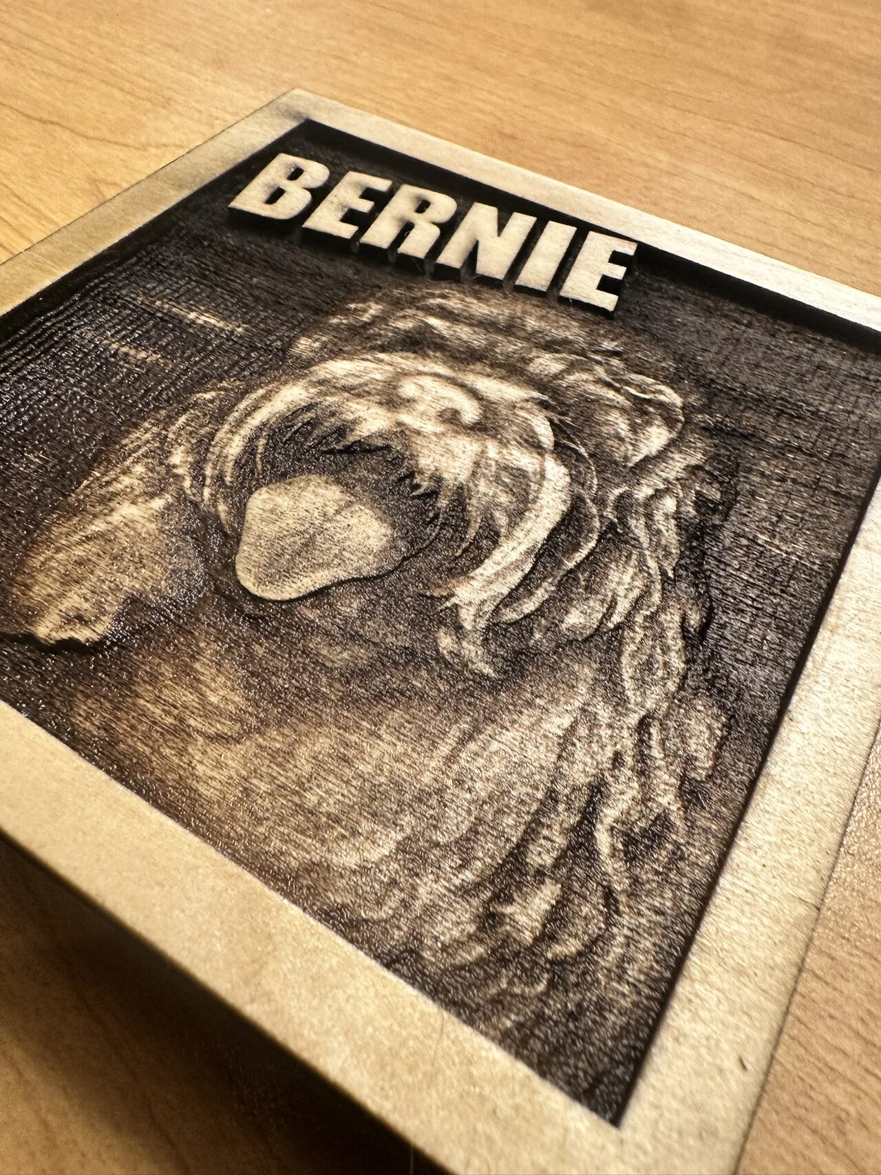 Low close view across the BERNIE plaque showing the depth of the engraved fur and the raised lettering.