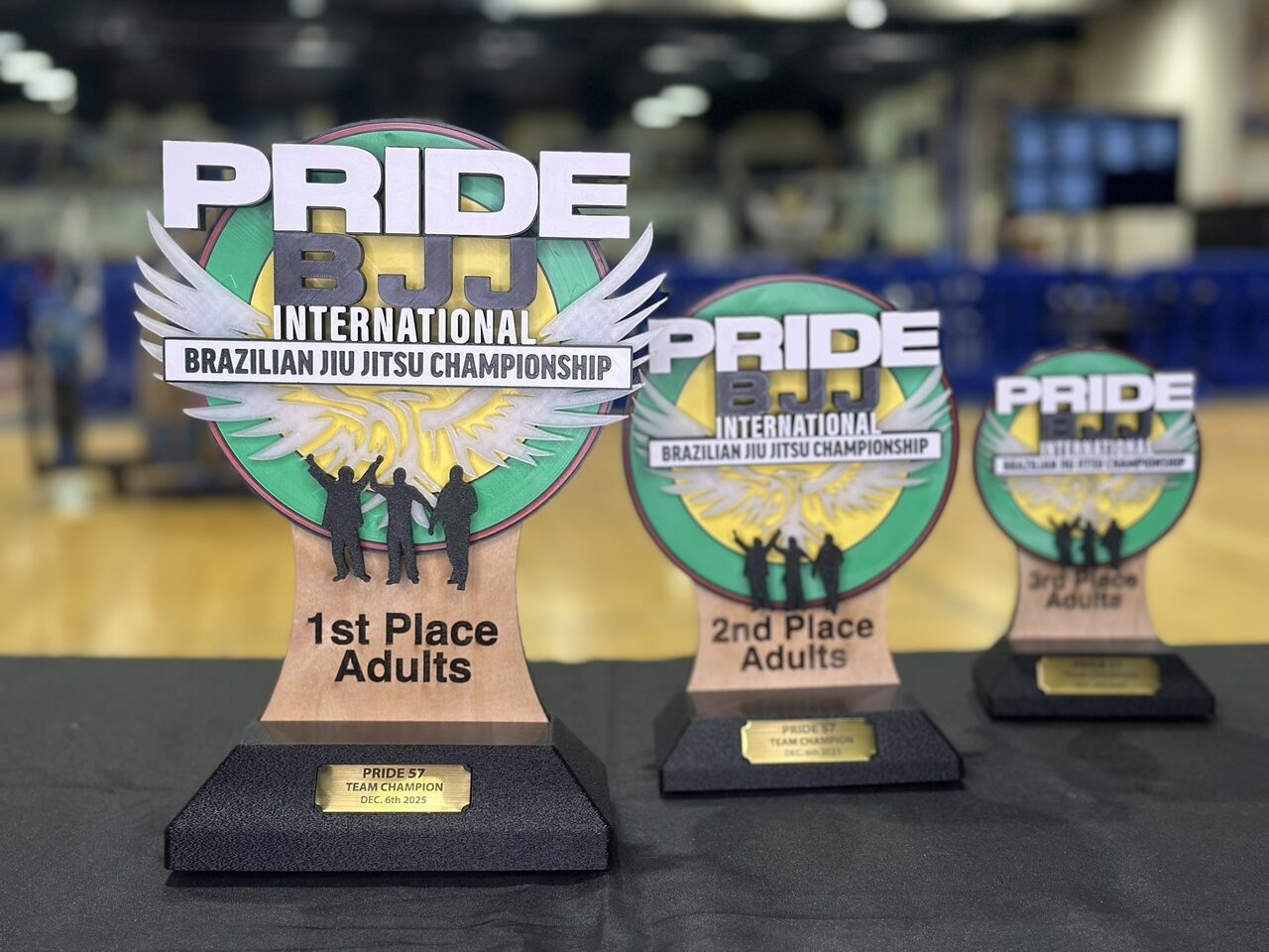 Close view of the 1st and 2nd Place Adults trophies, with the printed wings, figures and engraved plates in focus.