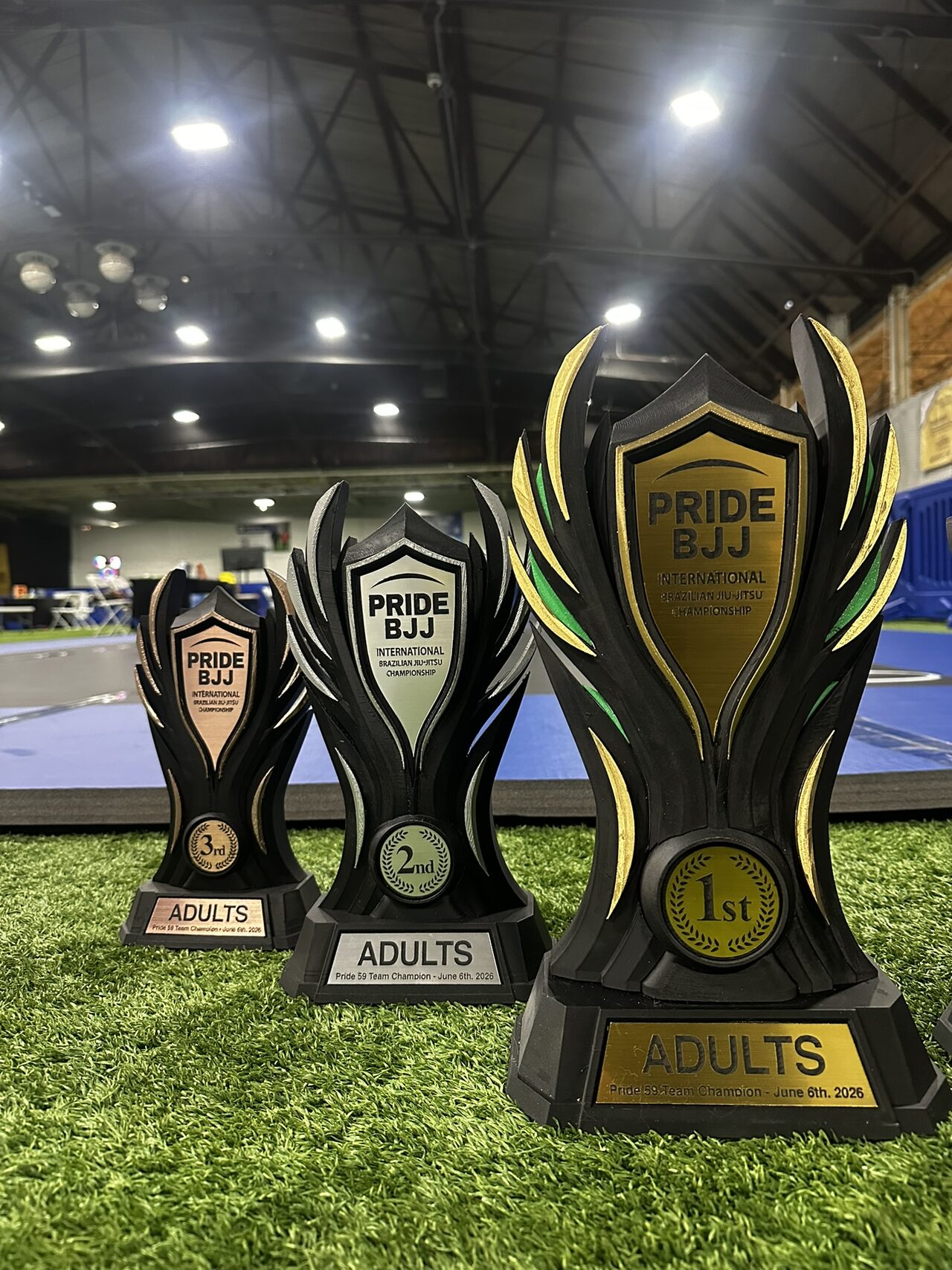 The gold 1st place Adults trophy close on the right with the silver and bronze trophies receding behind it.