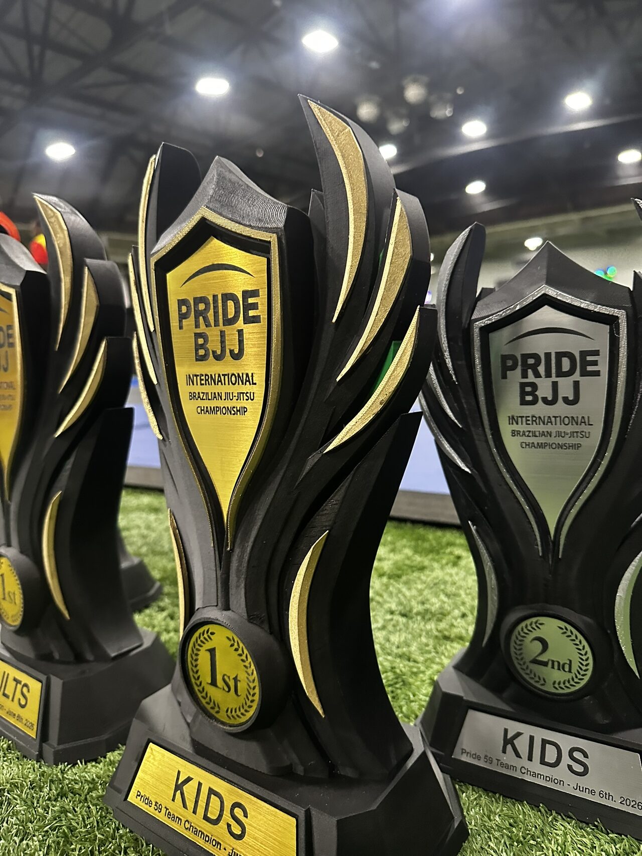 Tight low view of a gold 1st place trophy and a silver 2nd place trophy, showing the engraved shields, medallions and gold-edged wing blades.