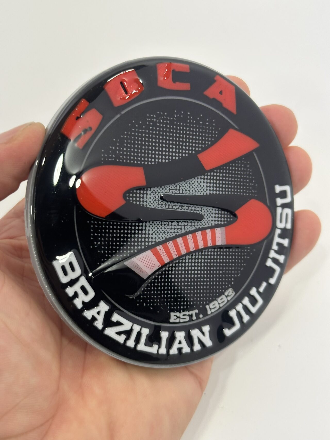 A smaller white-rimmed version of the medallion resting in an open palm